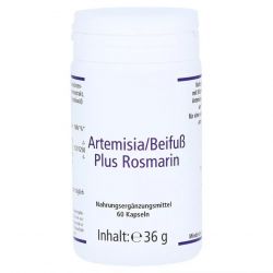 Артемизинин 150 мг капс. 60шт в Сургуте и области фото