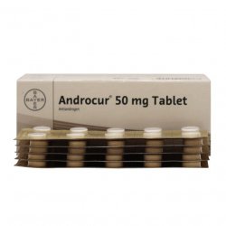 Андрокур (Ципротерон) таблетки 50мг №50 в Сургуте и области фото