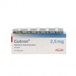 Гутрон таблетки 2,5 мг. №20 в Сургуте и области фото